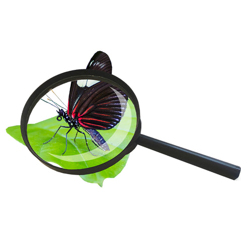 Magnifying Glass 50mm