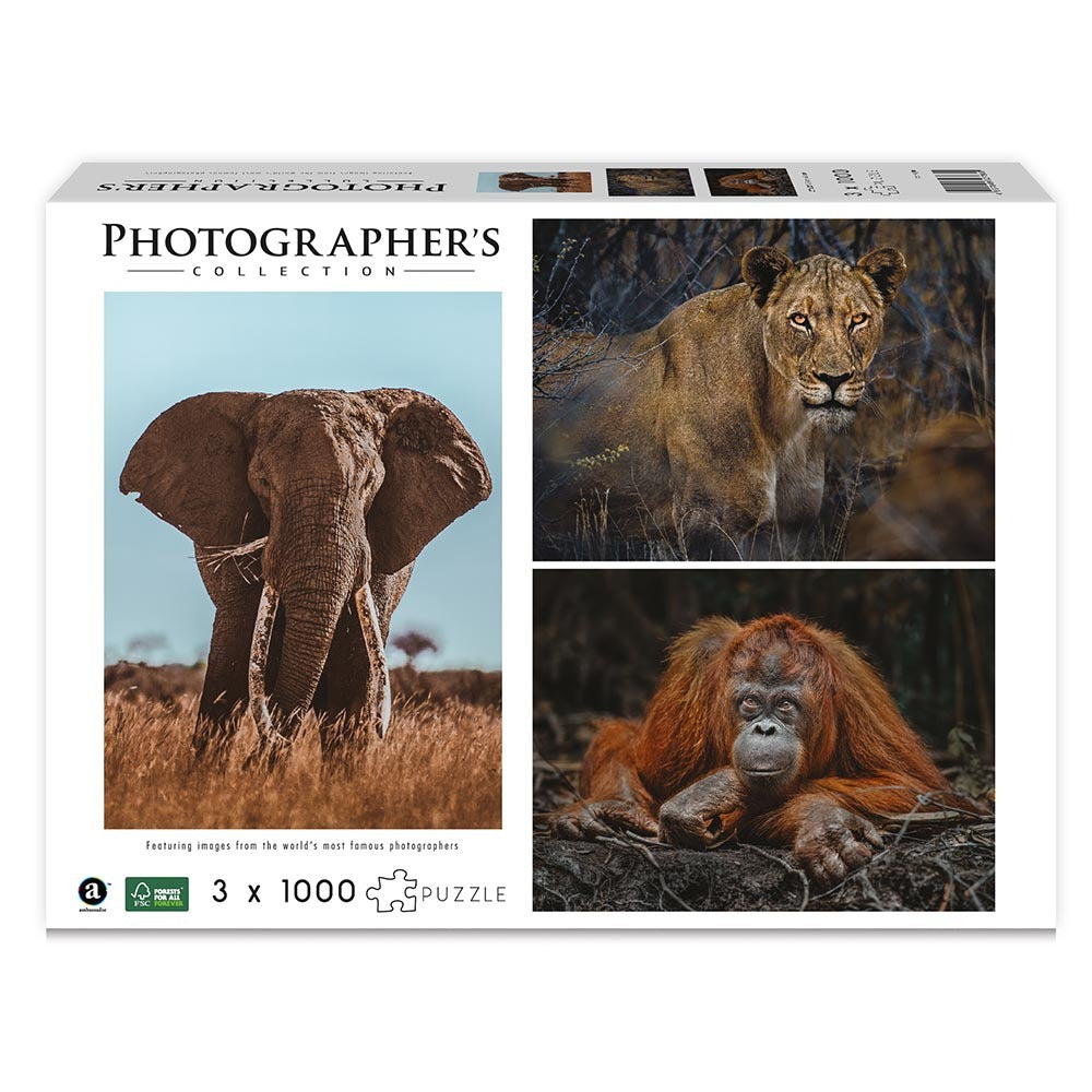 Photographers Collection: Elephant, Lioness, Orangutan: 3 x 1000pc Puzzle Bundle