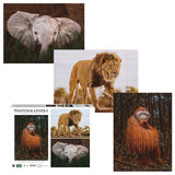 Photographers Collection: Into the Wild: 3 x 1000pc Puzzle Bundle